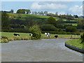 The Oxford Canal near Willoughby in CV23 8BJ