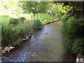 Allen River at Damerham in SP6 3EU