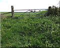Little used field gate, Bridstow in HR9 6PZ