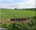 Small mound of brown earth in a green field, Bridstow in HR9 6PZ