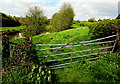 Gate to a field at the NE edge of a pond, Bridstow in HR9 6PZ