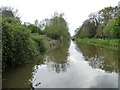 Kennet & Avon Canal, between bridges 185 and 186 in BA1 6BP