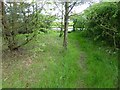 Approaching the stile beside the A1068 in NE22 6JF