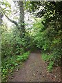 Path in Jesmond Dene in NE2 2HE