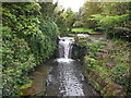 Waterfall, Jesmond Dene in NE3 1PU