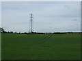 Crop field and pylon, Newton Village in EH22 1FQ