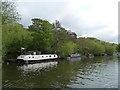 Boats moored on the north bank of the River Avon in BA1 9AB