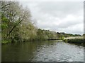 River Avon, looking upstream in BA1 9AB