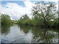 The River Avon, looking upstream in BS31 1TS