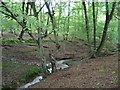 Cuffley Brook and wall, Northaw Great Wood in EN6 4BH
