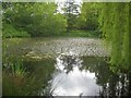 Harmer Green: The village pond in AL6 0AJ