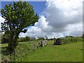 Footpath crossing fields on Tor Down in EX20 1QU