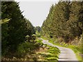 Forest road in DG8 0DW