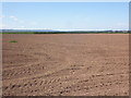 Newly sown arable land, Stock Moor in TA5 2RR