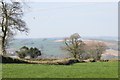 Fields above Stonebarrow in EX13 5UW