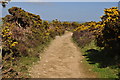 West Somerset : Exmoor Footpath in TA24 7AB