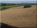 Chalk field south of Snowdon Hill in TA20 2TJ