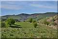 Looking up the valley of the Clywedog Brook in LD1 6PP