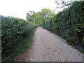 Track between hedges in PO20 7BY