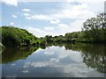 River Avon nearing Park Corner, looking upstream [south] in BS31 2AT
