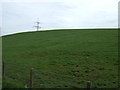 Hillside grazing off the Pencaitland Railway Cycle Path in EH22 2PW