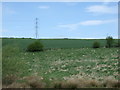 Farmland north of the Pencaitland Railway Cycle Path in EH33 2LZ