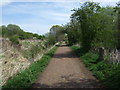 Heading east on the Pencaitland Railway Cycle Path in EH35 5AG