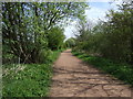 Heading east on the Pencaitland Railway Cycle Path in EH35 5HS
