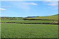 Farmland near Glenlochar in DG7 3AU