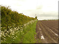 Footpath between Needles Inn Farm and Watkinson's Farm, Lathom in L40 5UJ
