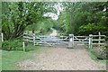 Hawkhill Inclosure, gates in SO42 7WB