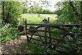 Gate on River Parrett Trail near South Perrott in DT8 3HA