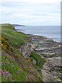 Cliffs and wave-cut platform north of Berwick-upon-Tweed in TD15 1FB