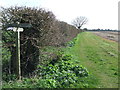 Junction On The Sandlings Walk in IP17 1NJ