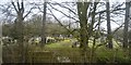 Cemetery through trees in B93 8QE