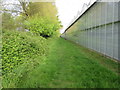 Path adjacent to glass house in Almodington
