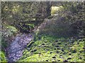 Bridge over a tributarie into Illey Brook in B63 3DZ
