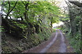 West Somerset : Country Lane in TA24 7BF