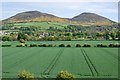 View of the Eildon Hills and Melrose in spring in TD6 9NH