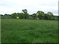 Farmland near Market Bosworth in CV13 0LA