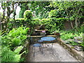 Marle Place Gardens, fern garden in TN12 7HS