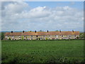 Row of cottages near Seend in SN12 6QD