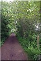 Mallows Lane & Footpath to Barr Hall in CO9 3LR