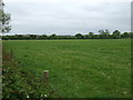 Farmland off Hinckley Road in CV13 0BD