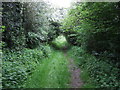 Bridleway towards Merry Lees in LE9 9FD