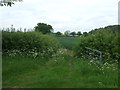 Field entrance near Lea Grange Farm in CV9 3NP