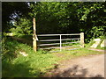 Entrance to Forestry Commission land, Staple Hill in TA20 3QZ