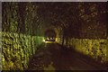 Inside Shaugh Tunnel in PL6 7AP