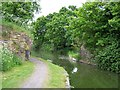 Bridge 5, Slough Arm, Grand Union Canal in SL0 9RH