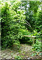 A shady nook in Copton Ash Garden, Faversham in ME13 8UG